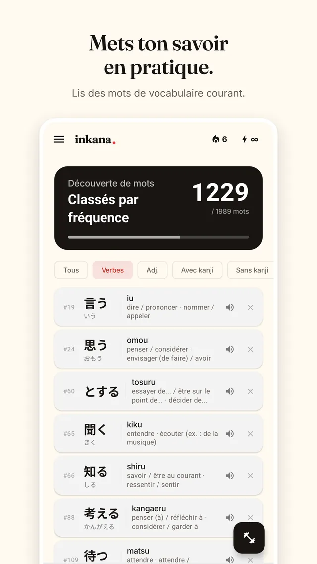 Capture Inkana : le vocabulaire